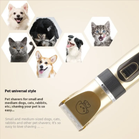 Complete At-Home Pet Grooming Kit