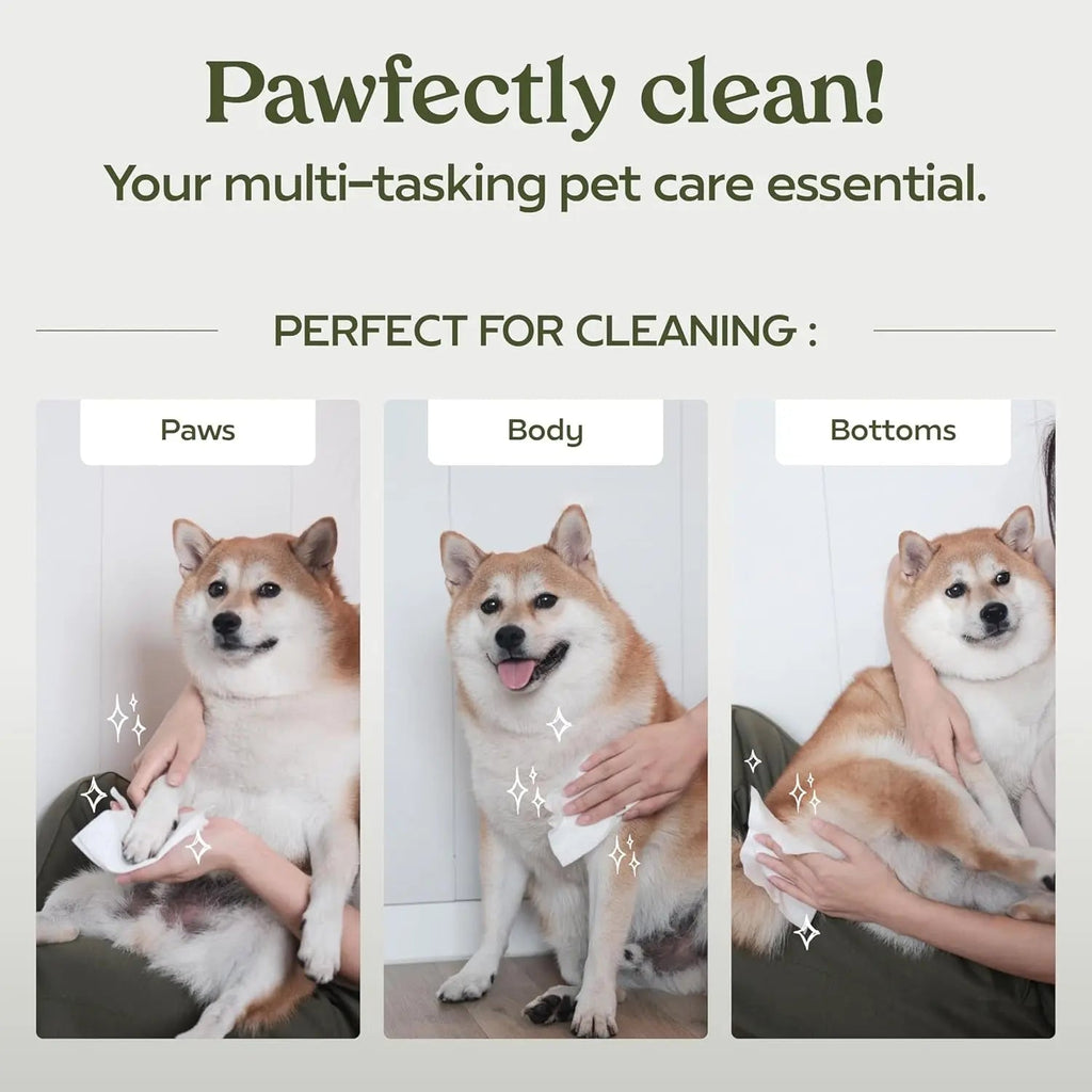 Dog Wipes Hypoallergenic Tear Stain Deodorizing Cat Pet 100 Count